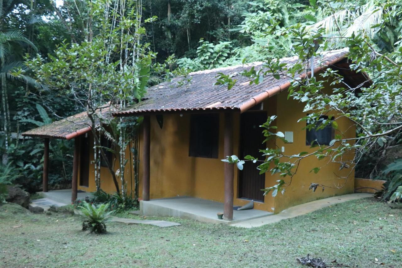 Pe Da Mata